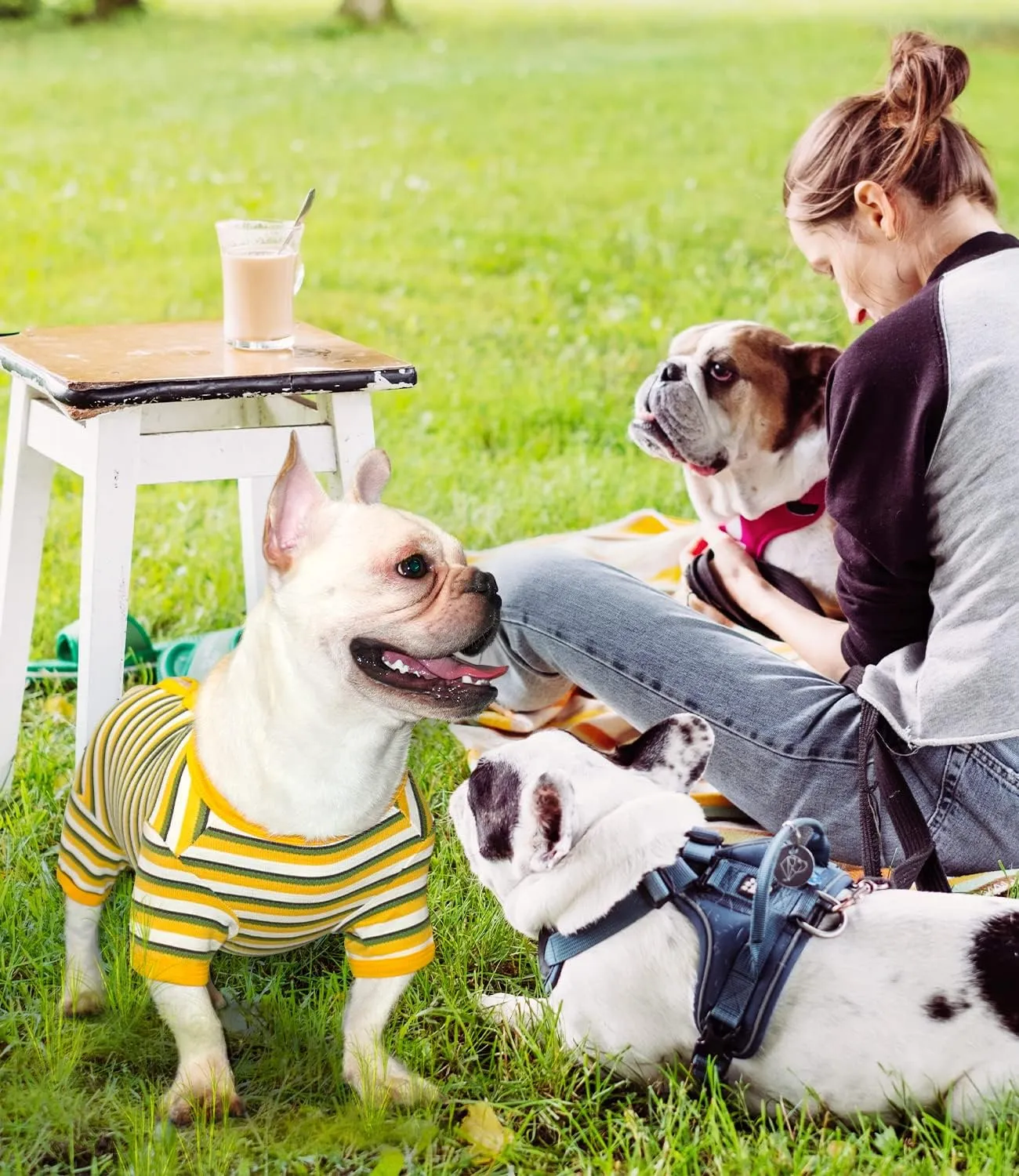 TONY HOBY Dog Pajamas, Dog Surgical Recovery Suit, Knitted Dog Shirt for Small Medium Dog (Yellow&Green, Girl, XL)